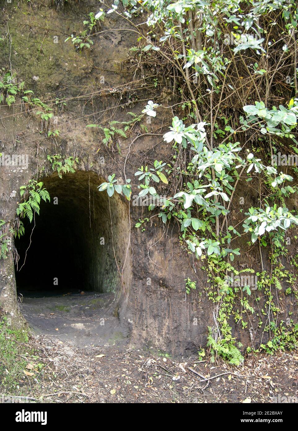 In the area of the Japanese occupation during WWII. Rabaul; Papua New Guinea; New Britain