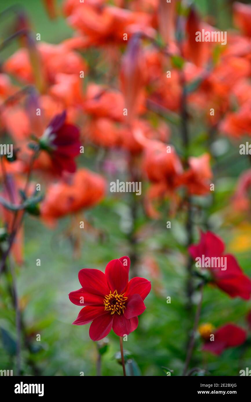 Hot Planting High Resolution Stock Photography and Images - Alamy