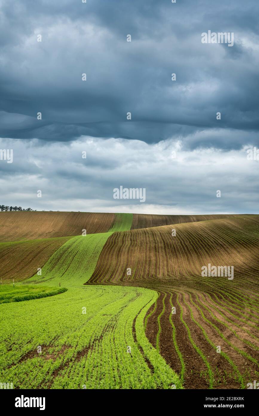 Idyllic view of rolling fields near Kyjov with dramatic cloudy sky, Hodonin District, South Moravian Region, Moravia, Czech Republic Stock Photo