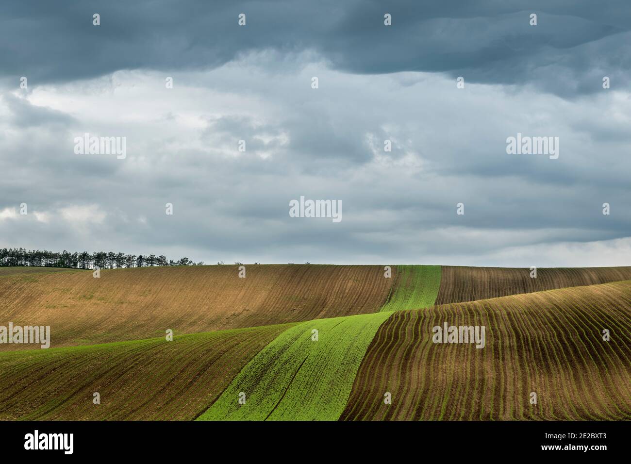 Idyllic view of rolling fields near Kyjov with dramatic cloudy sky, Hodonin District, South Moravian Region, Moravia, Czech Republic Stock Photo