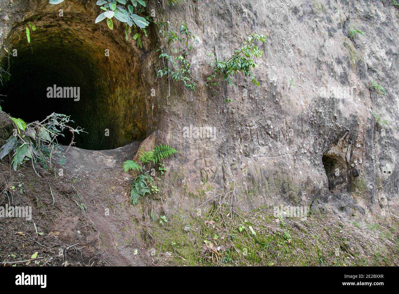 Entrances to two tunnels in the area of the Japanese occupation during WWII. Rabaul; Papua New