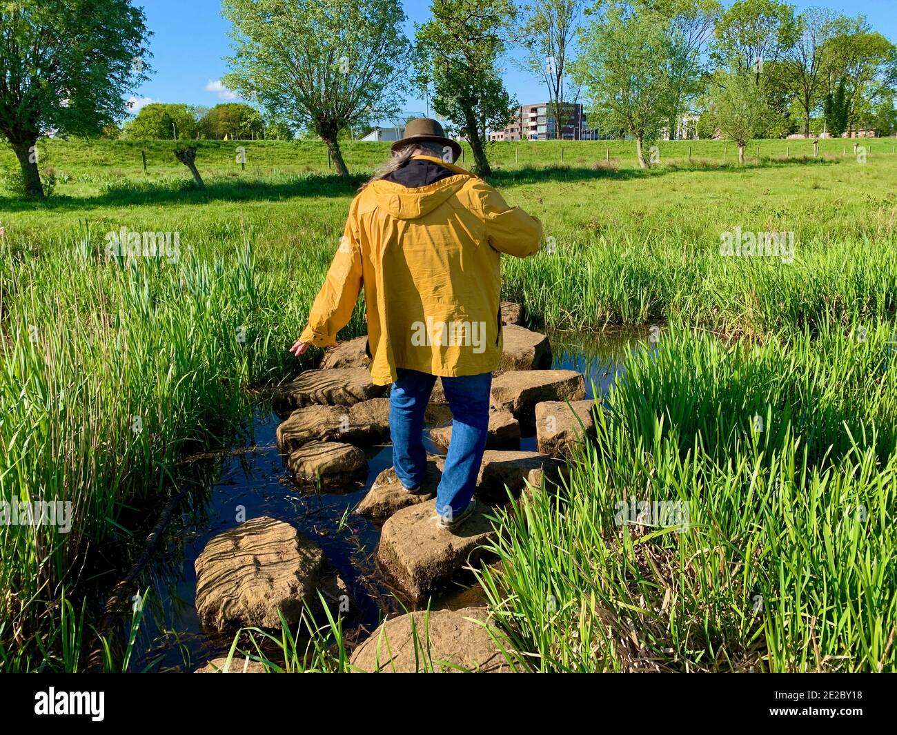 A man wearing a brown hat, a yellow raincoat and blue jeans is cautiously stepping on stepping stones over a small water. Dutch landscape with a dyke. Stock Photo