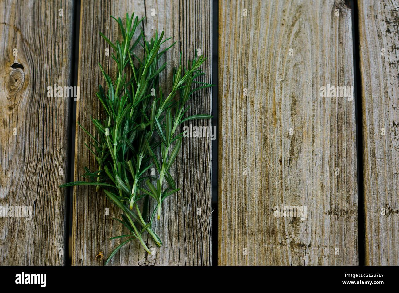 A bundle of fresh rosemary herb lays on a wooden background copy room Stock Photo