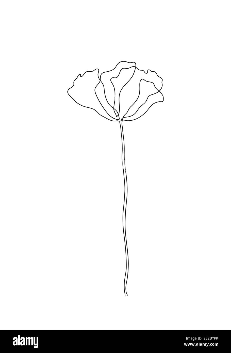 line art-Poppy flower Minimalist contour drawing. One line artwork,floral pattern for design linear art on a white background. Stock Photo