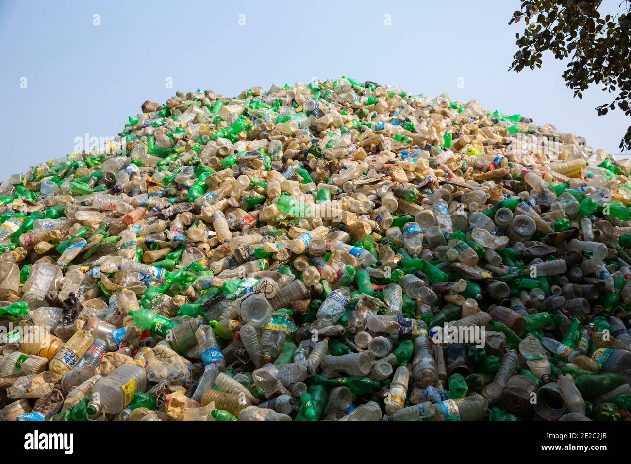 Plastic bottles gathered for recycling in Brahmanbaria, Bangladesh Stock Photo Alamy