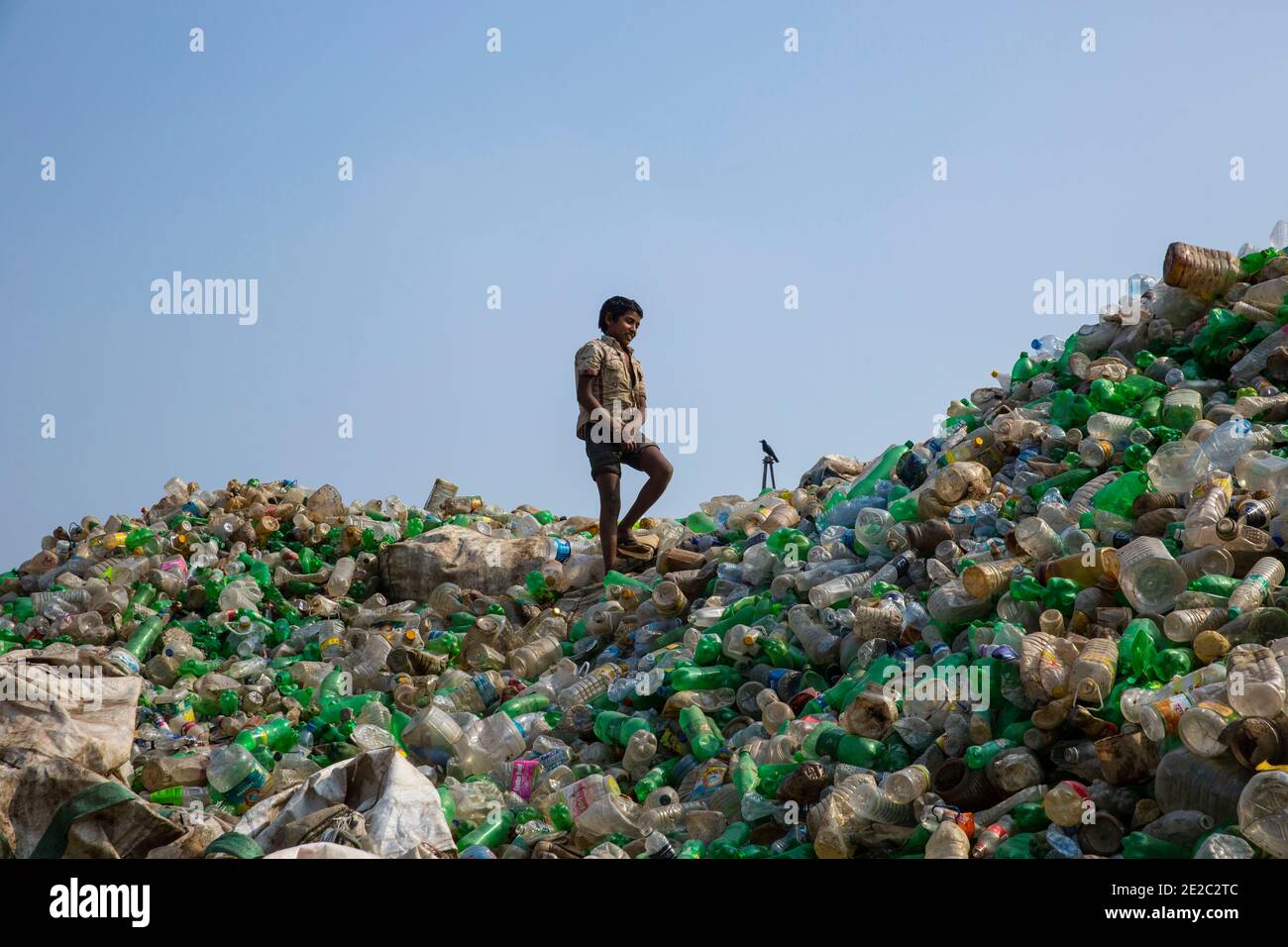 Plastic bottles gathered for recycling in Brahmanbaria, Bangladesh. Stock Photo