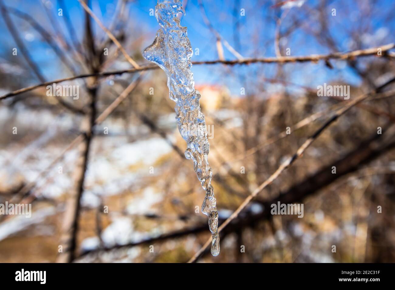 Iced water drops in Ifrane city Stock Photo - Alamy
