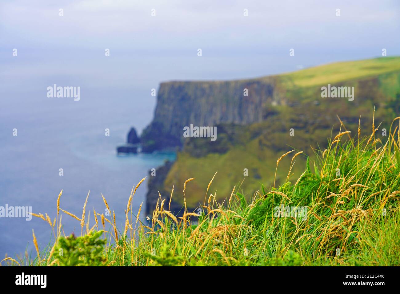 Steep sea cliffs at the Cliffs of Moher in Ireland. Stock Photo