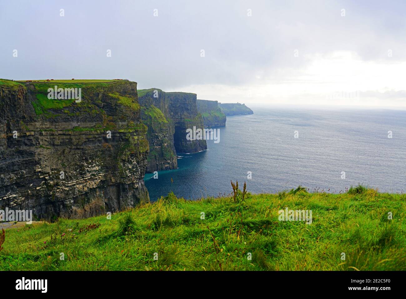The Cliffs of Moher in County Clare in Ireland. Stock Photo
