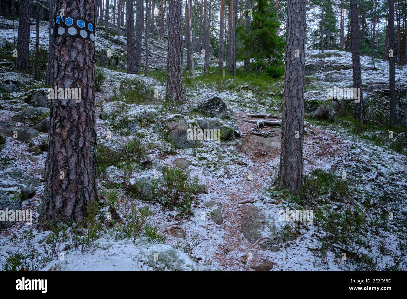 Path in the woods that leads up the hill with snow on the ground Stock ...