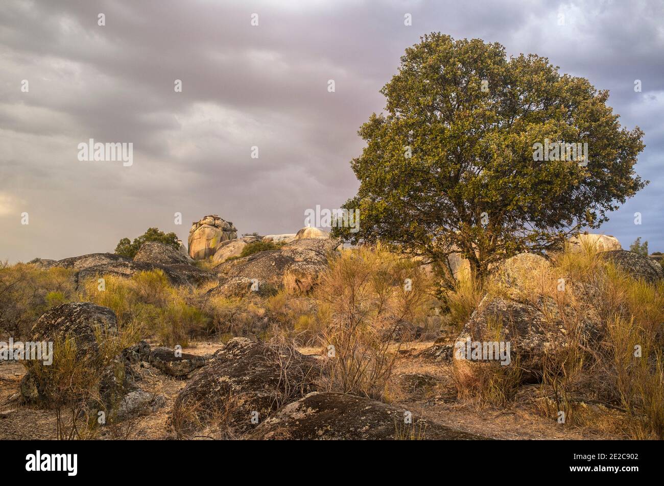 Treasure rocks of Los Barruecos Natural Monument, Caceres, Extremadura, Spain Stock Photo