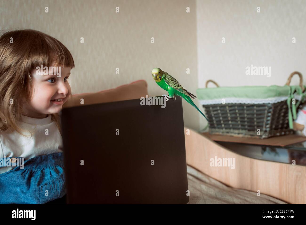 happy girl at home. home pet. budgerigar. laptop and gadgets. Baby watching cartoons, or online games. Stock Photo