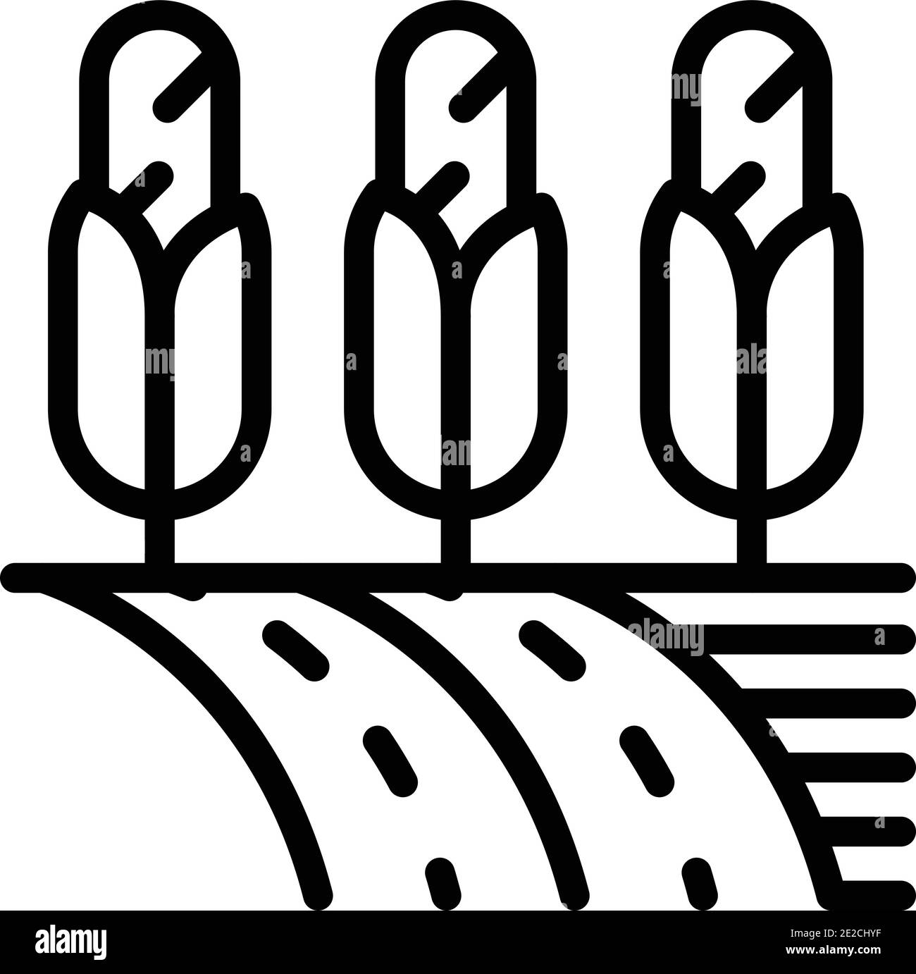 Farm corn land icon. Outline farm corn land vector icon for web design ...