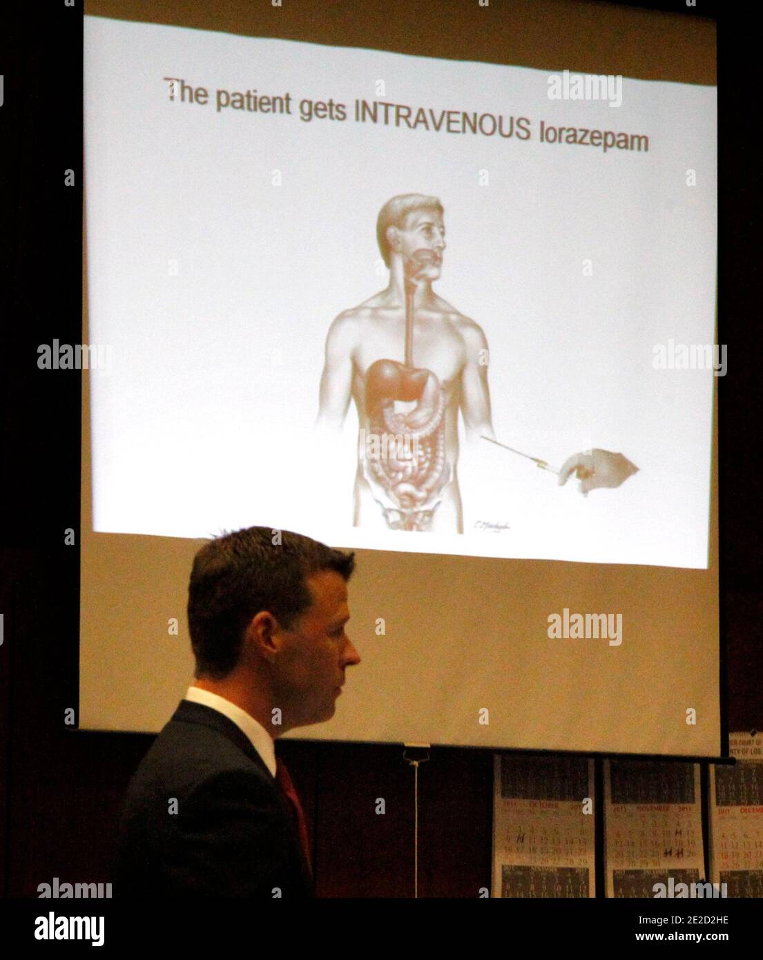 A slide showing the human digestive tract is seen as deputy district attorney David Walgren examines anesthesiology expert Dr. Steven Shafer, not pictured, during Dr. Conrad Murray's involuntary manslaughter trial in Los Angeles on October 20, 2011. Murray has pleaded not guilty and faces four years in prison and the loss of his medical license if convicted of involuntary manslaughter in Michael Jackson's death. Photo by Reed Saxon/Pool/ABACAPRESS.COM Stock Photo