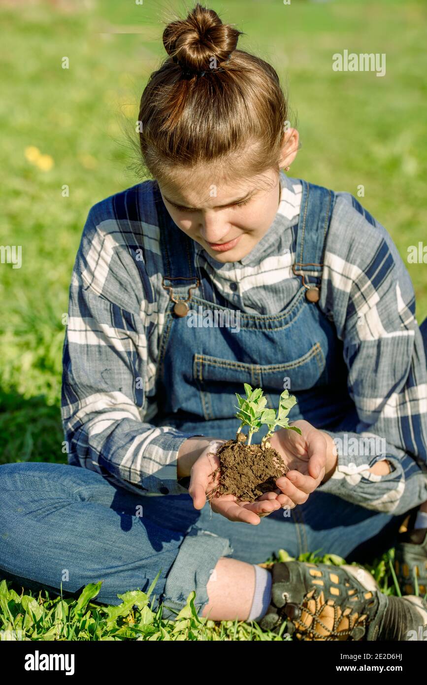 Girl farmer in denim overalls holds a sprout with soil. planting vegetables. Environment