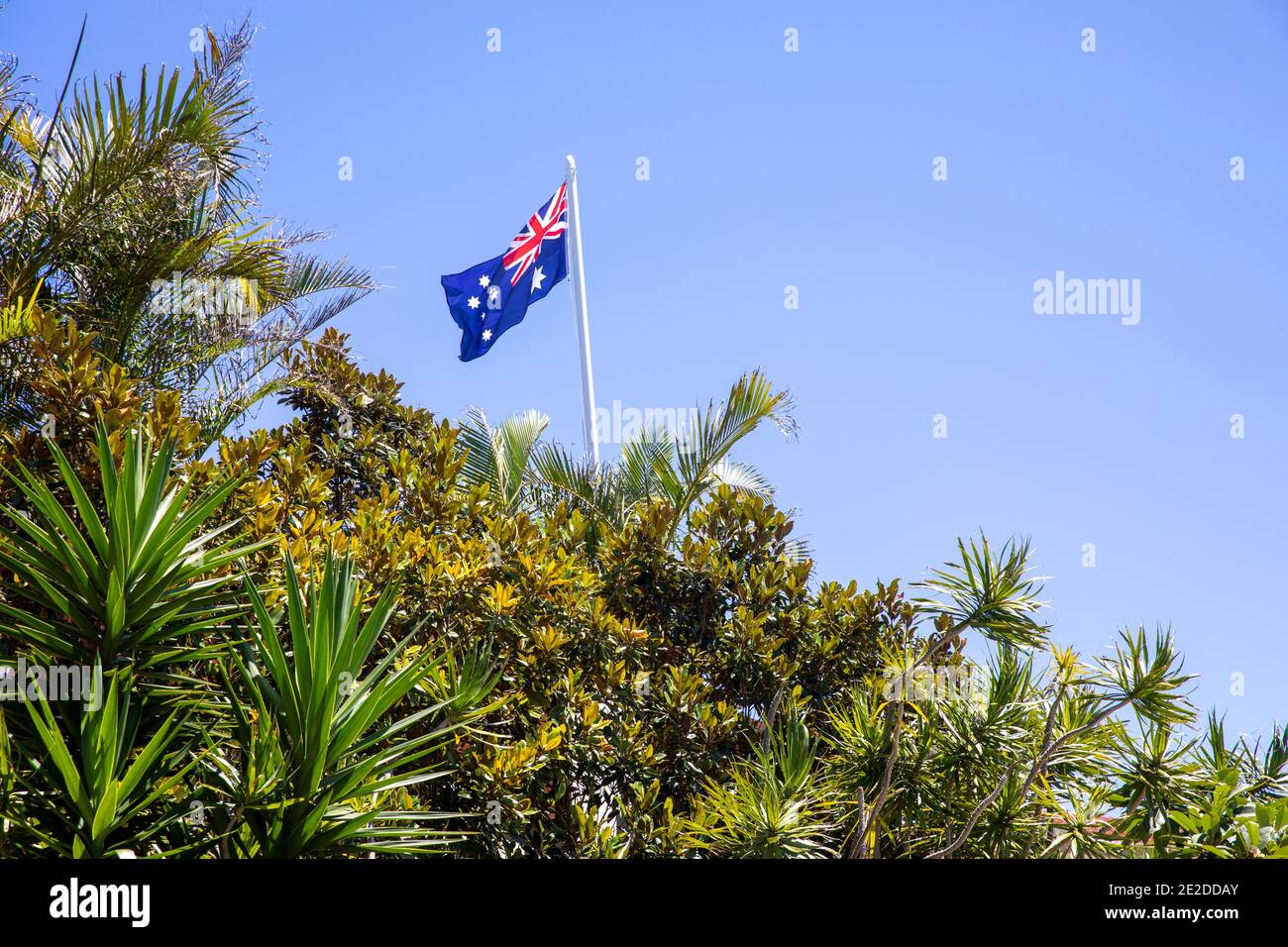 Sydney garden on a blue sky summers day with Australian flag flying on a flagpole Stock Photo