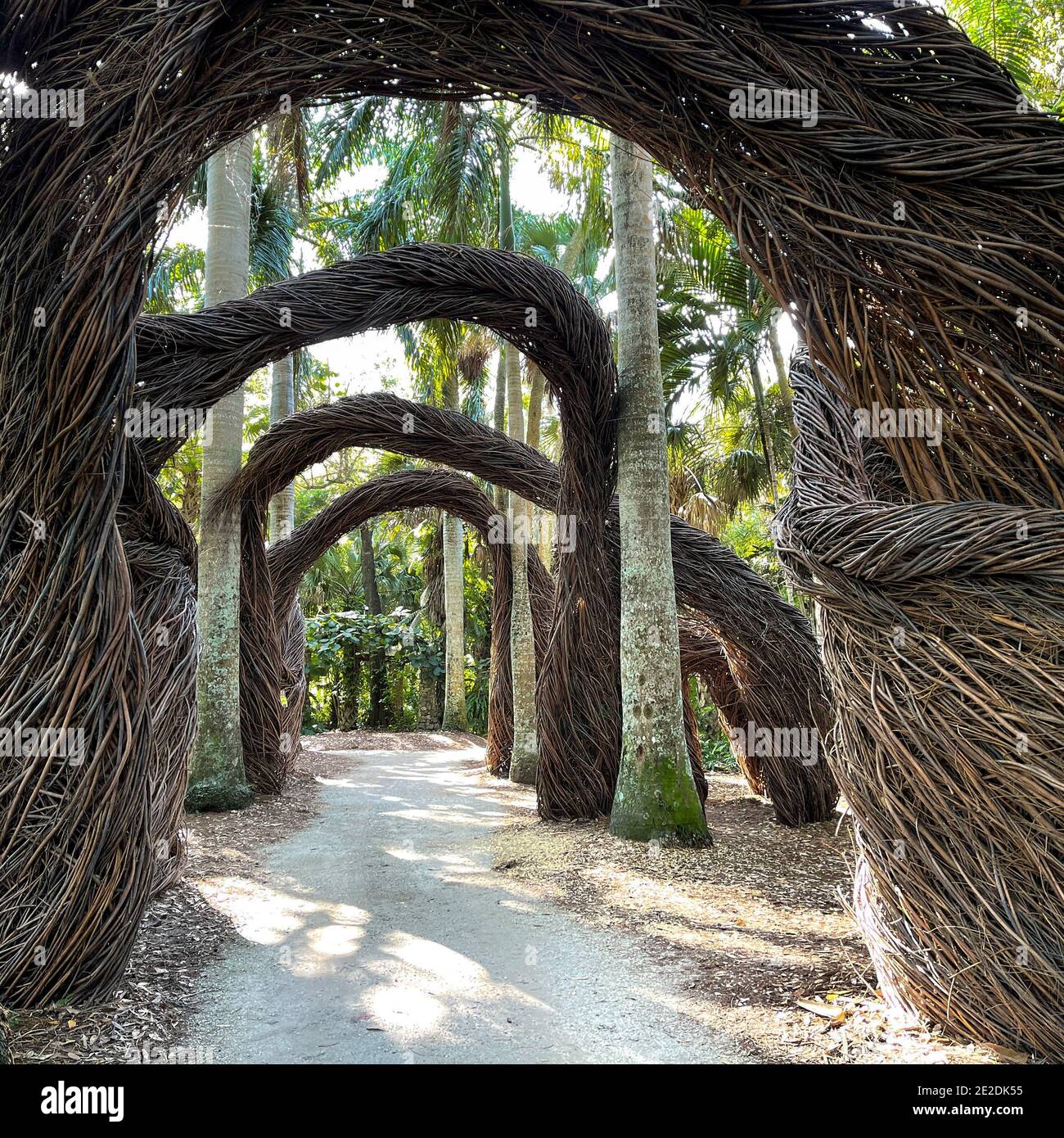 Artistic abstract arches made out of twigs in a tropical botanical