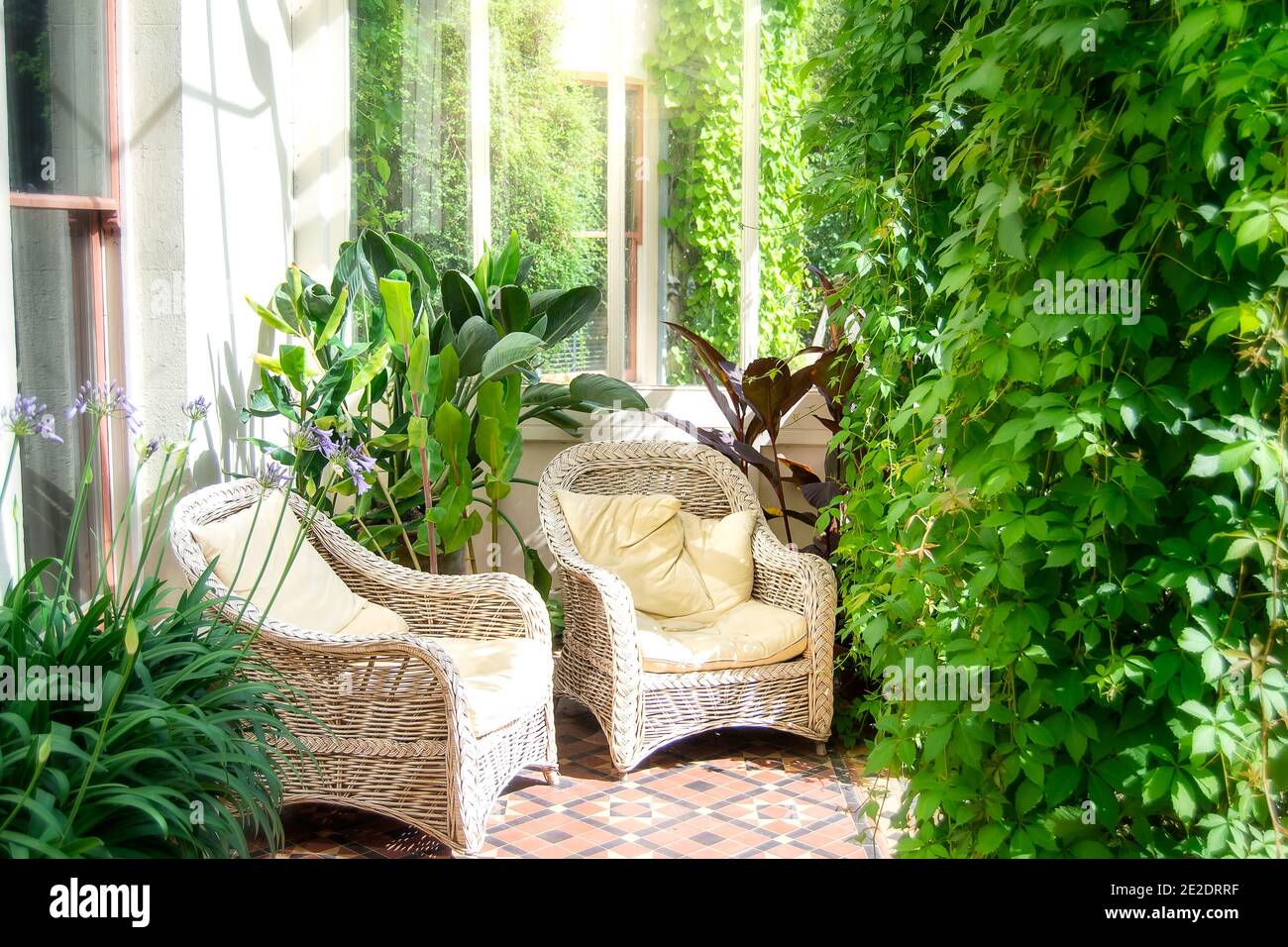 Backyard patio with wicker chairs and greenery Stock Photo - Alamy