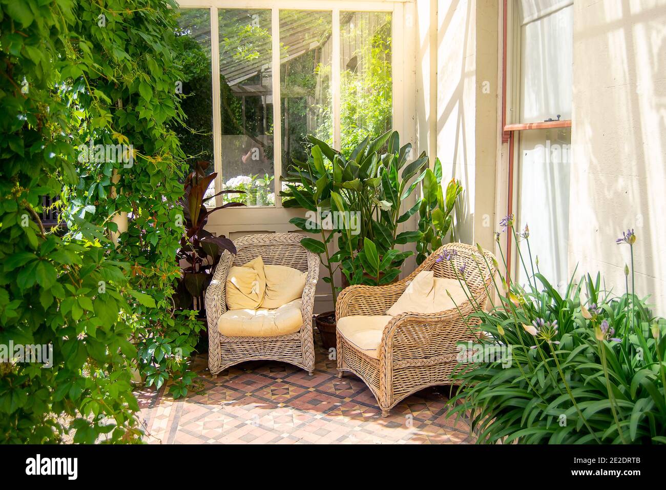 Backyard patio with wicker chairs and greenery Stock Photo - Alamy