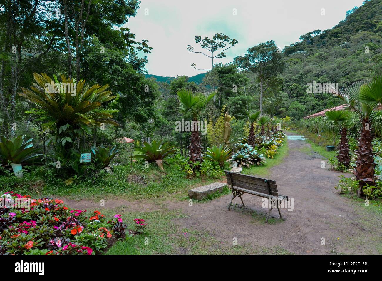 Free picture: flower, garden, park