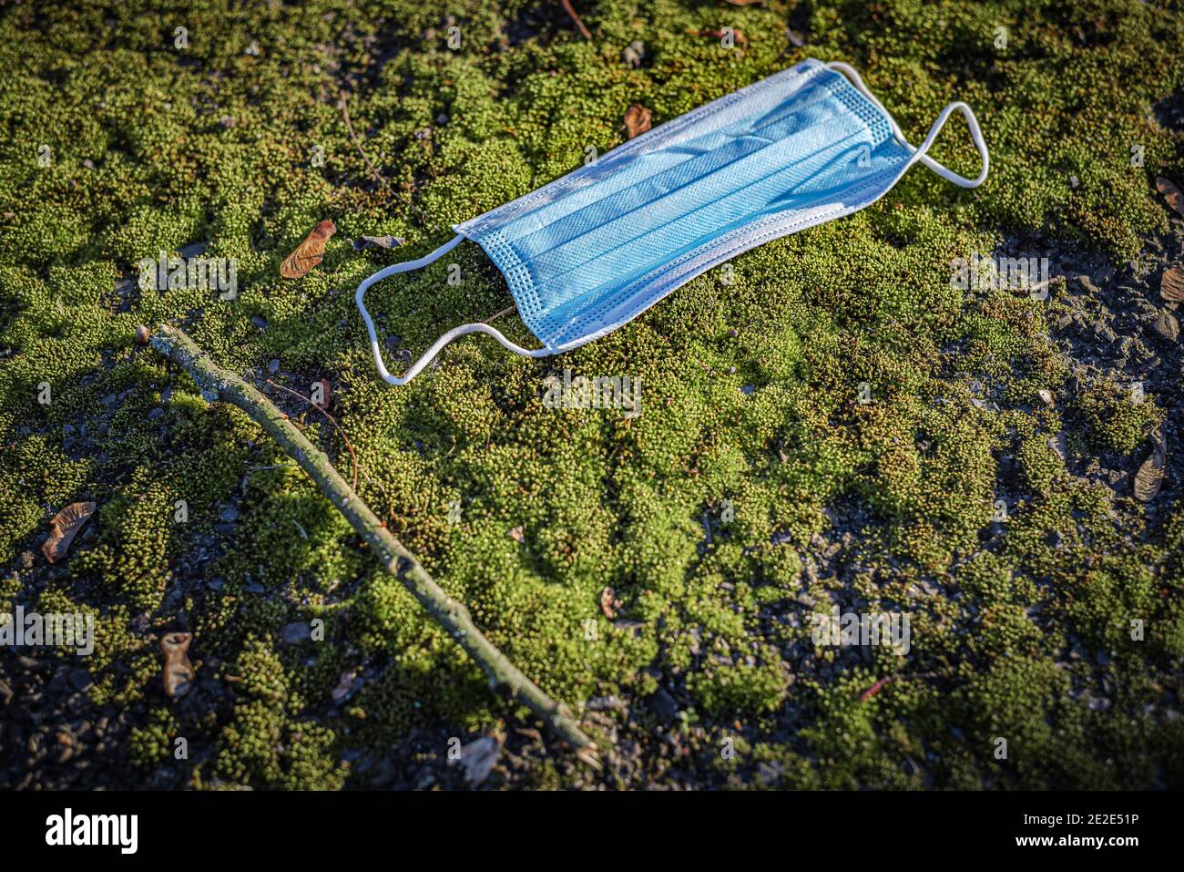 Blue corona mask in moss Stock Photo