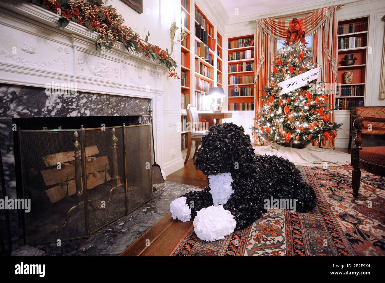 A giant Bo stands in the Library Room during the first viewing of the 2011 holiday decorations at the White House in Washington, D.C., USA on November 30, 2011. Photo by Olivier Douliery/ABACAPRESS.COM Stock Photo