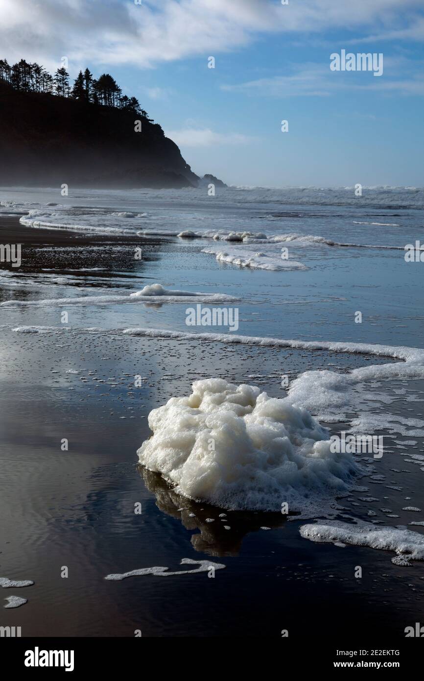 Foam on the beach hi-res stock photography and images - Alamy