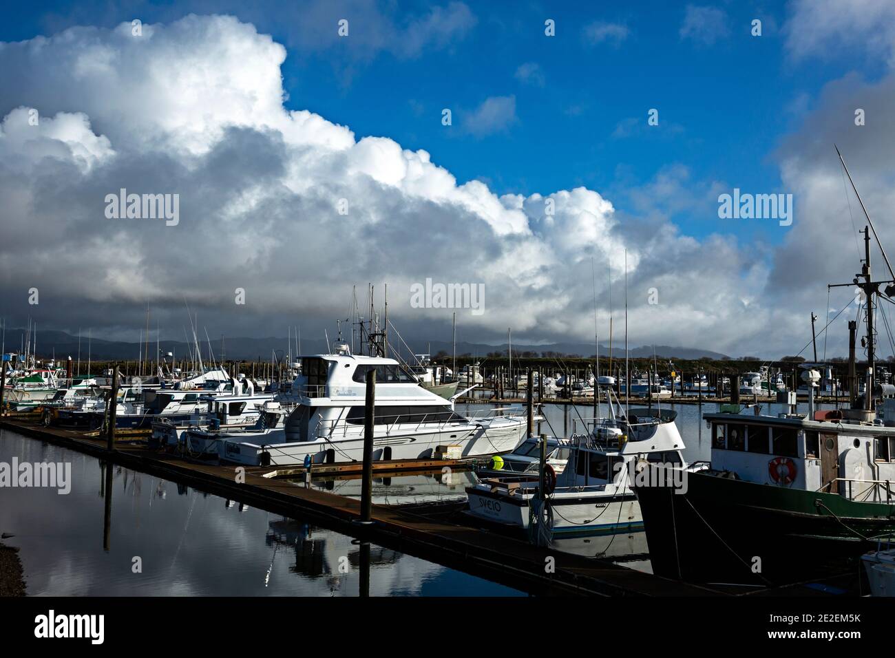 WA19126-00...WASHINGTON - Boats at the Illwaco Marina located on the shores of the Columbia River at the southern end of the Long Beach Peninsula. Stock Photo