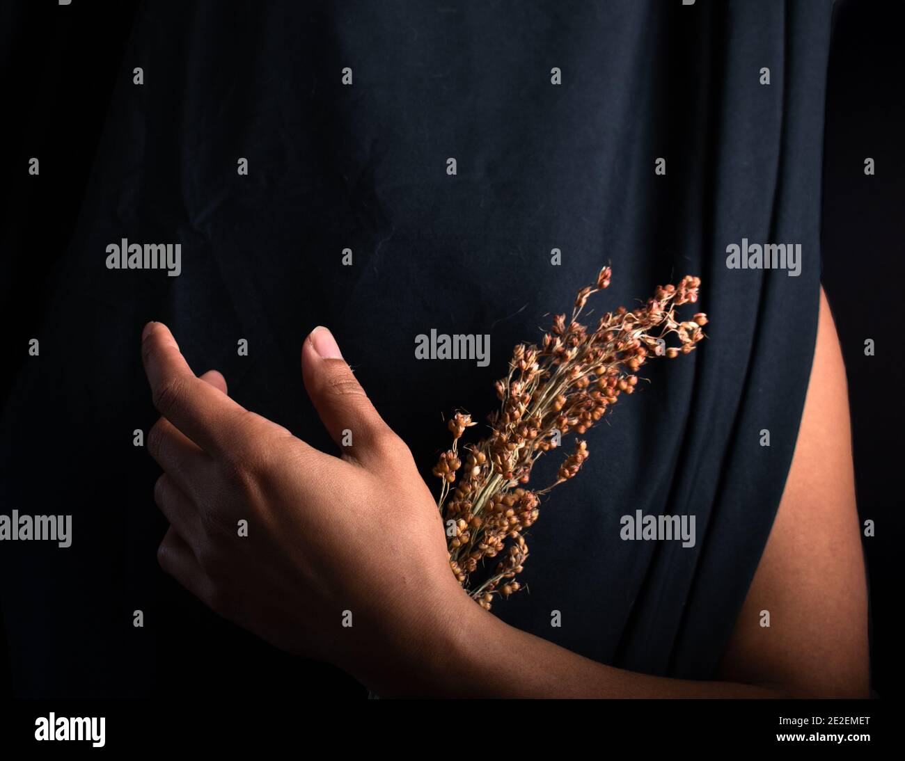 Beautiful hands gesture and grasp flower against black drape Stock Photo