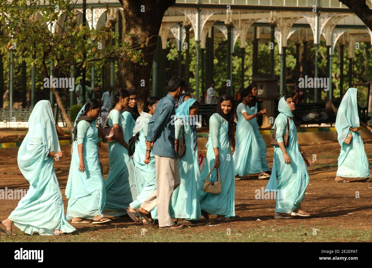 Sultan plants hi-res stock photography and images - Page 6 - Alamy