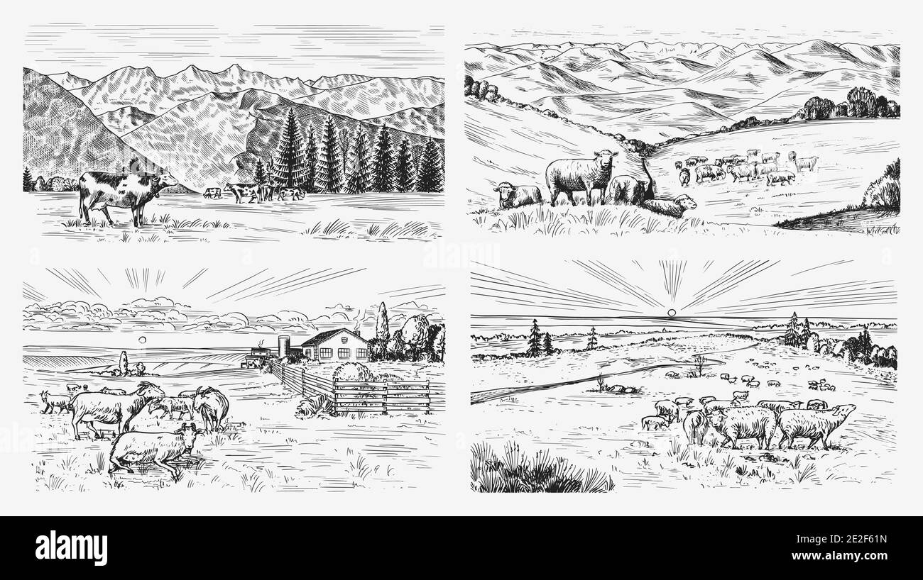 Rural meadow set. A village landscape with sheep, hills and a farm. Sunny scenic country view. Hand drawn engraved sketch. Vintage rustic banner for Stock Vector