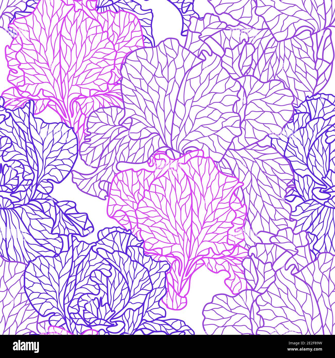 Seamless pattern with violet irises. Stock Vector