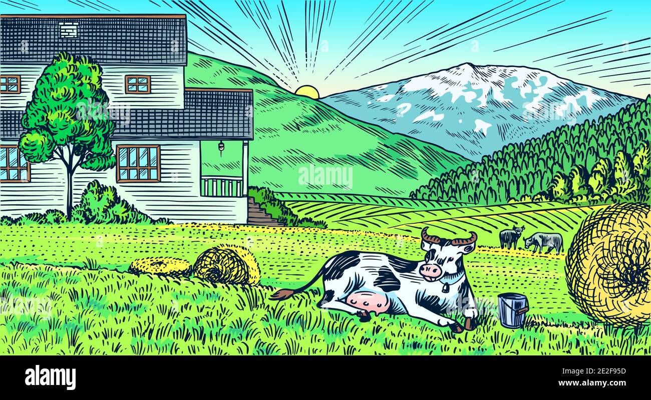 Rural meadow. A village landscape with cows, hills and a farm. Sunny ...