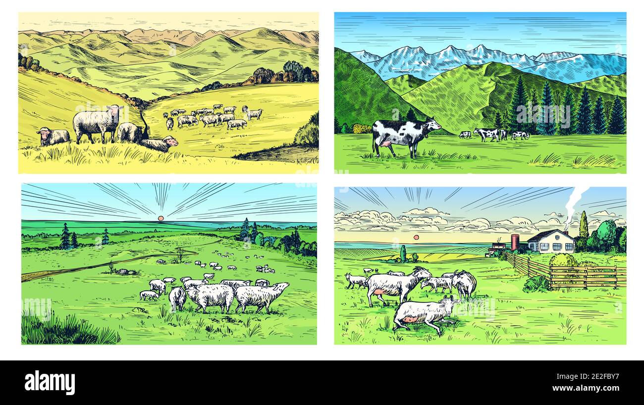 Rural meadow set. A village landscape with sheep, hills and a farm ...