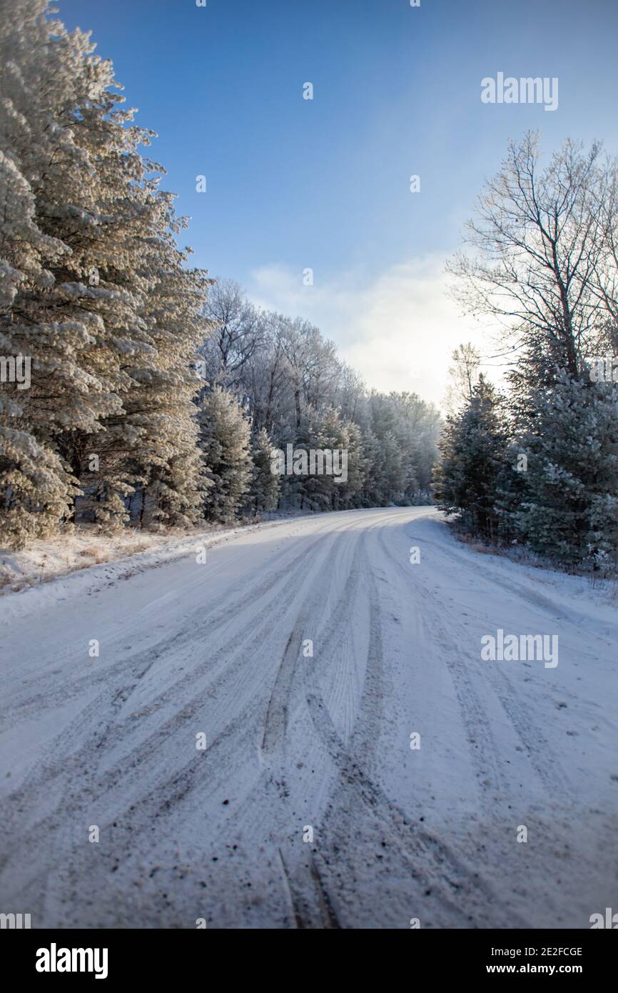 Snow covered road in a Wisconsin forest on a January morning, vertical ...