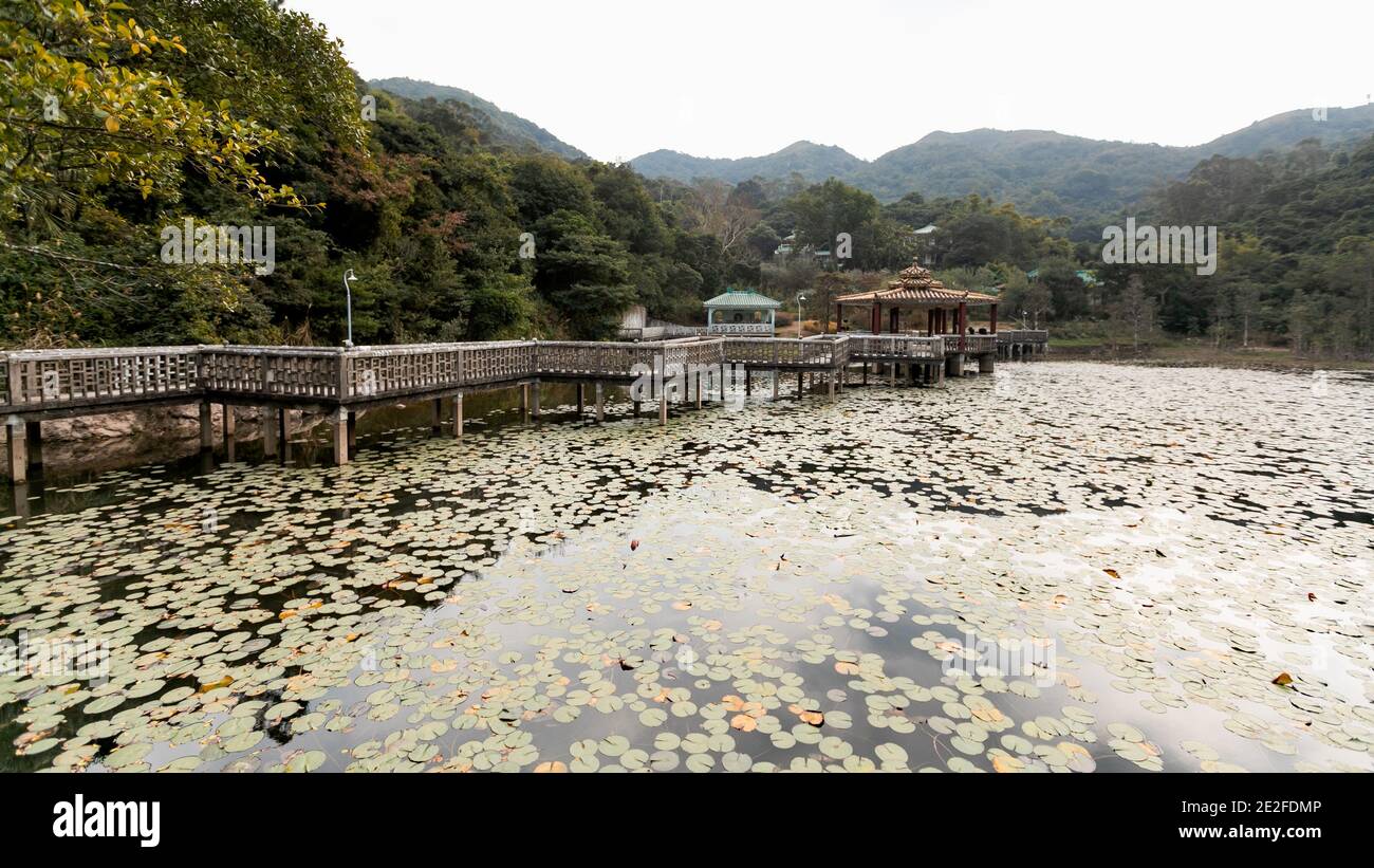 Panoramic view of the pavilion and a lotus pond in an oriental retreat, Lung Tsai Ng Garden, Lantau Island, Hong Kong Stock Photo