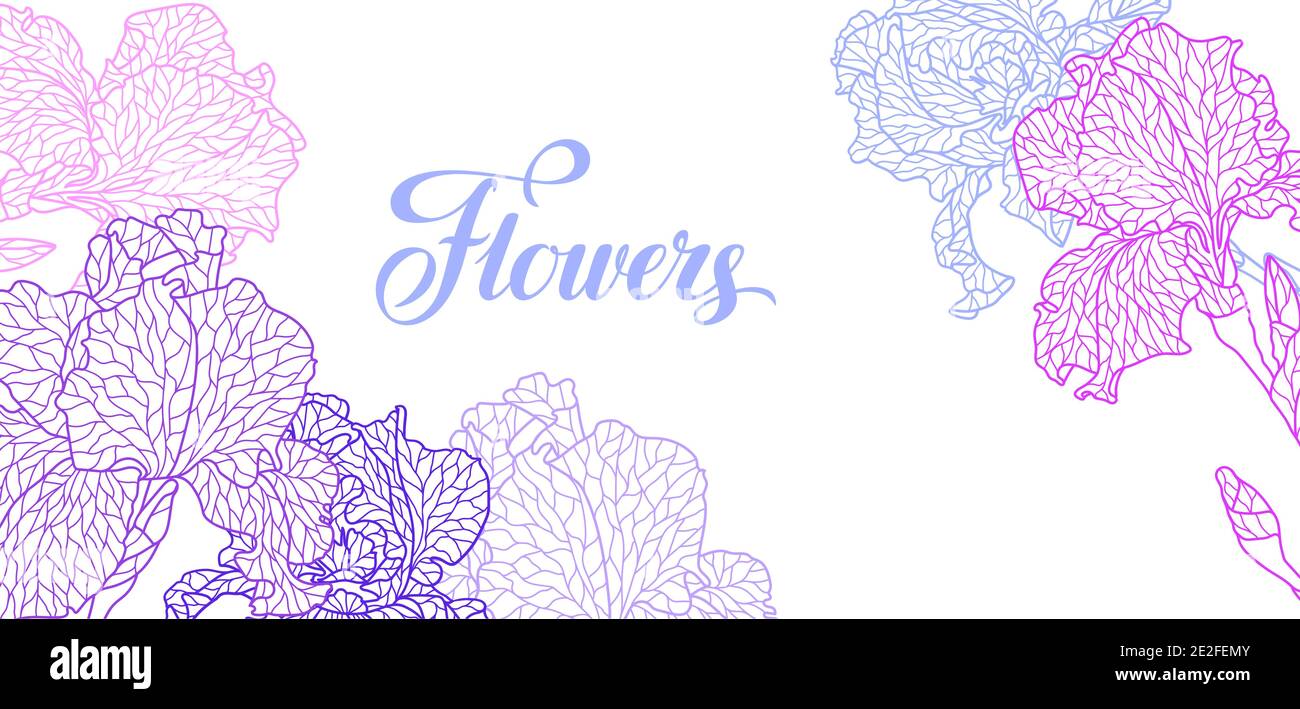 Seamless pattern with violet irises. Stock Vector