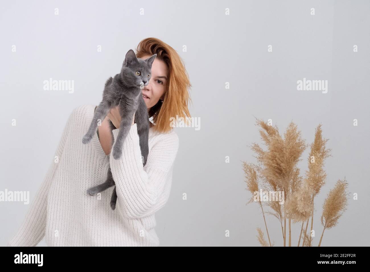 The red hair woman holds the grey cat in hands. neutral colors. Cozy home Stock Photo