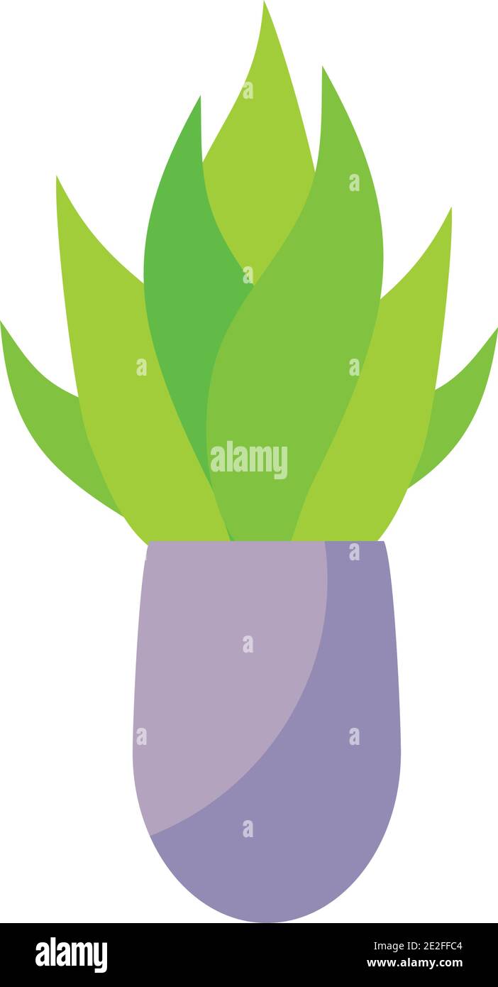 icon of decorative indoor plant over white background, colorful design ...