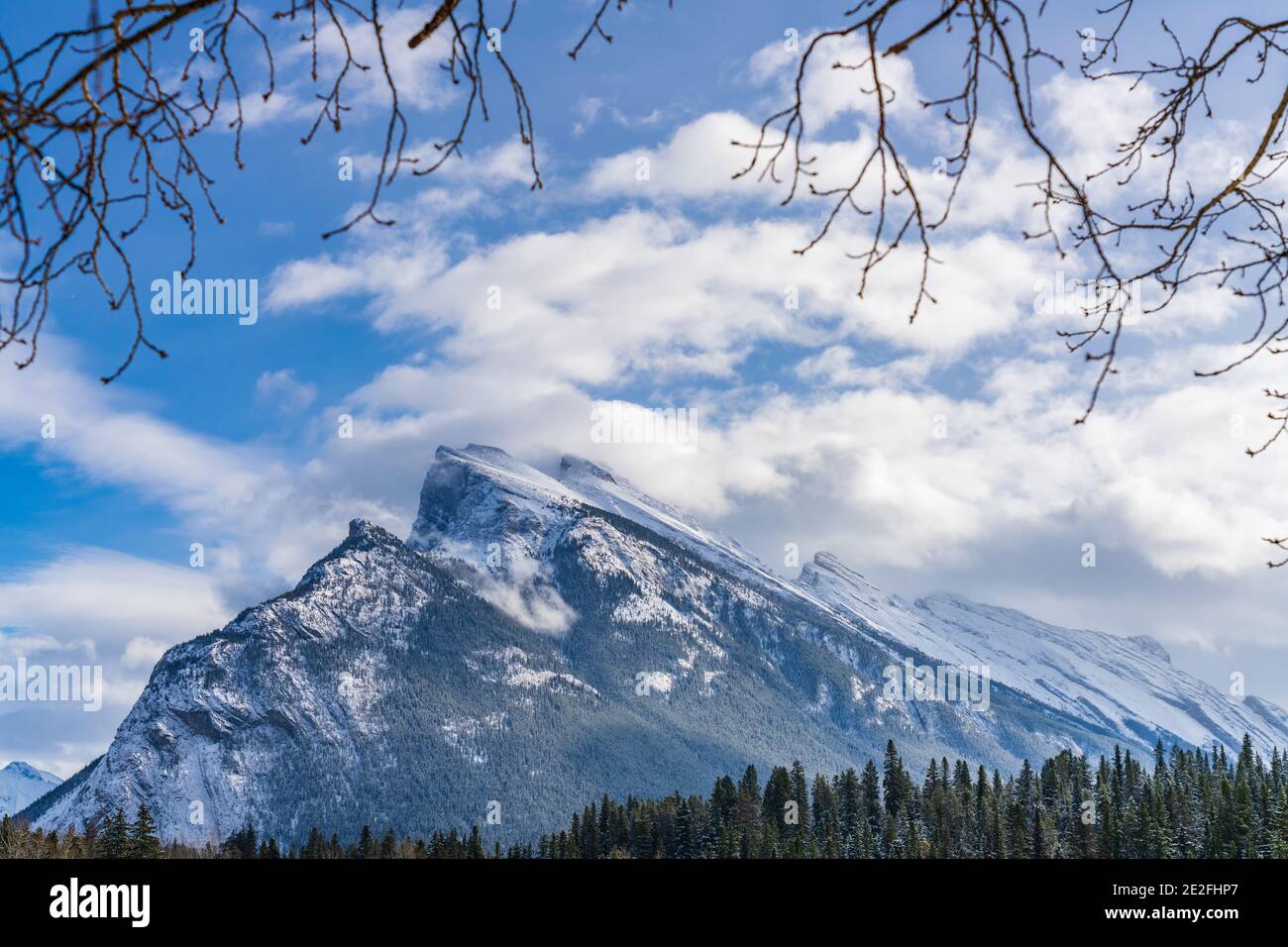 Mt Rundle Snow Tree withered national park hi-res stock photography and images - Alamy