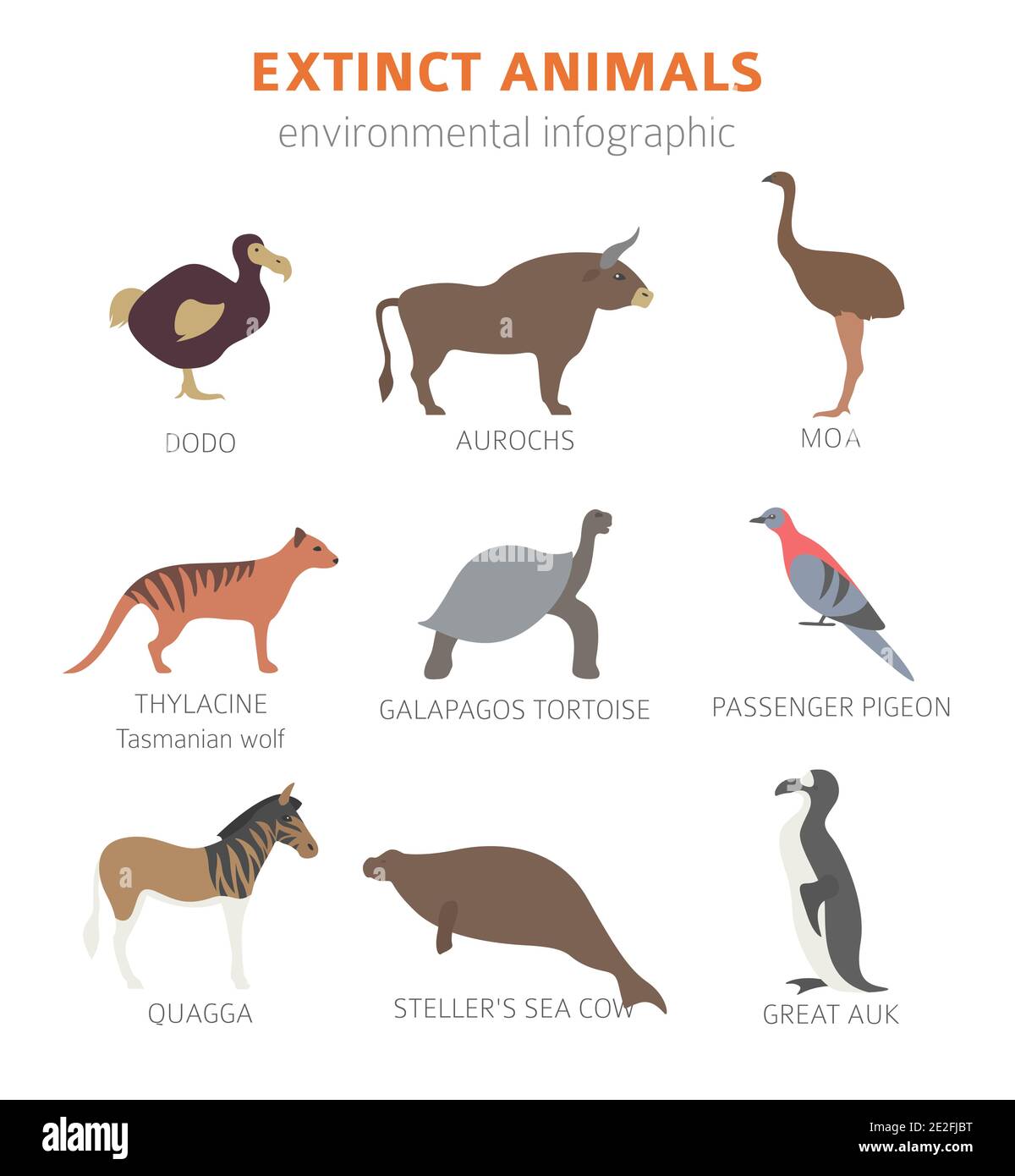 Global environmental problems. Biodiversiry loss infographic. Extinct animal  and birds. Vector illustration Stock Vector Image & Art - Alamy