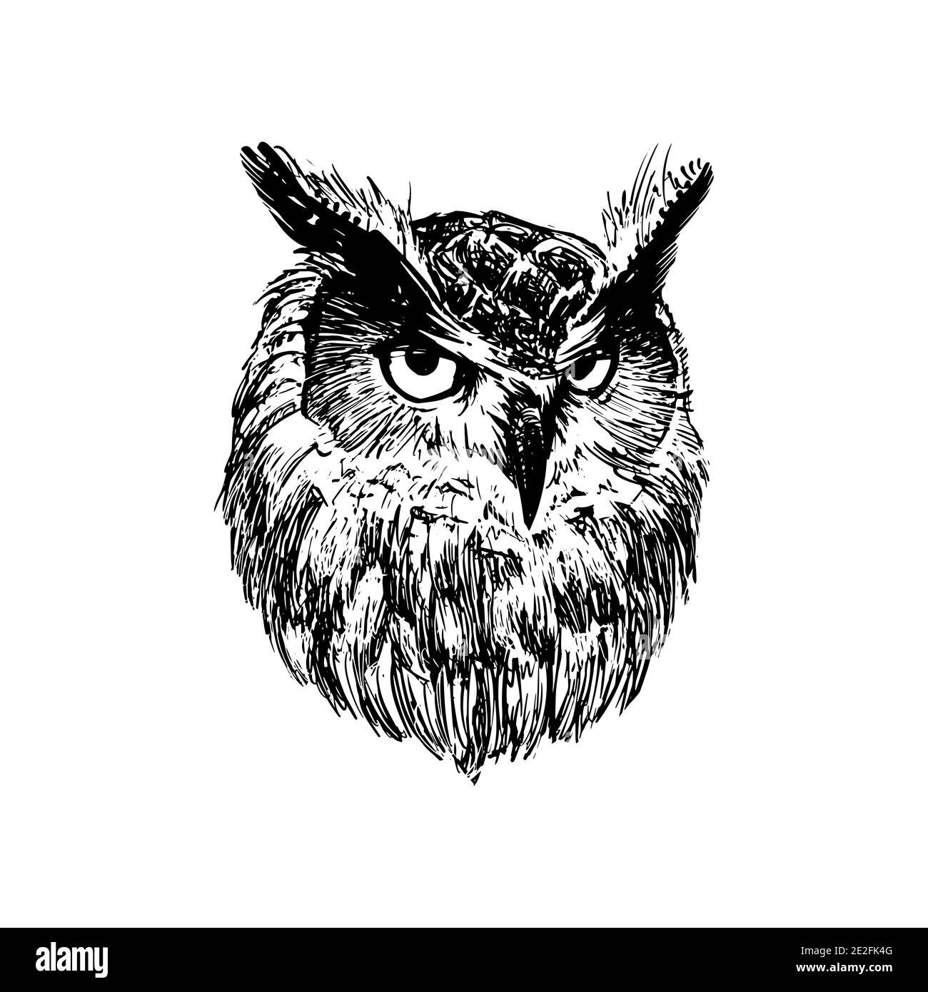 Owl head. Graphic ink drawing for printing, vintage style. Symbol of  knowledge Stock Vector Image & Art - Alamy