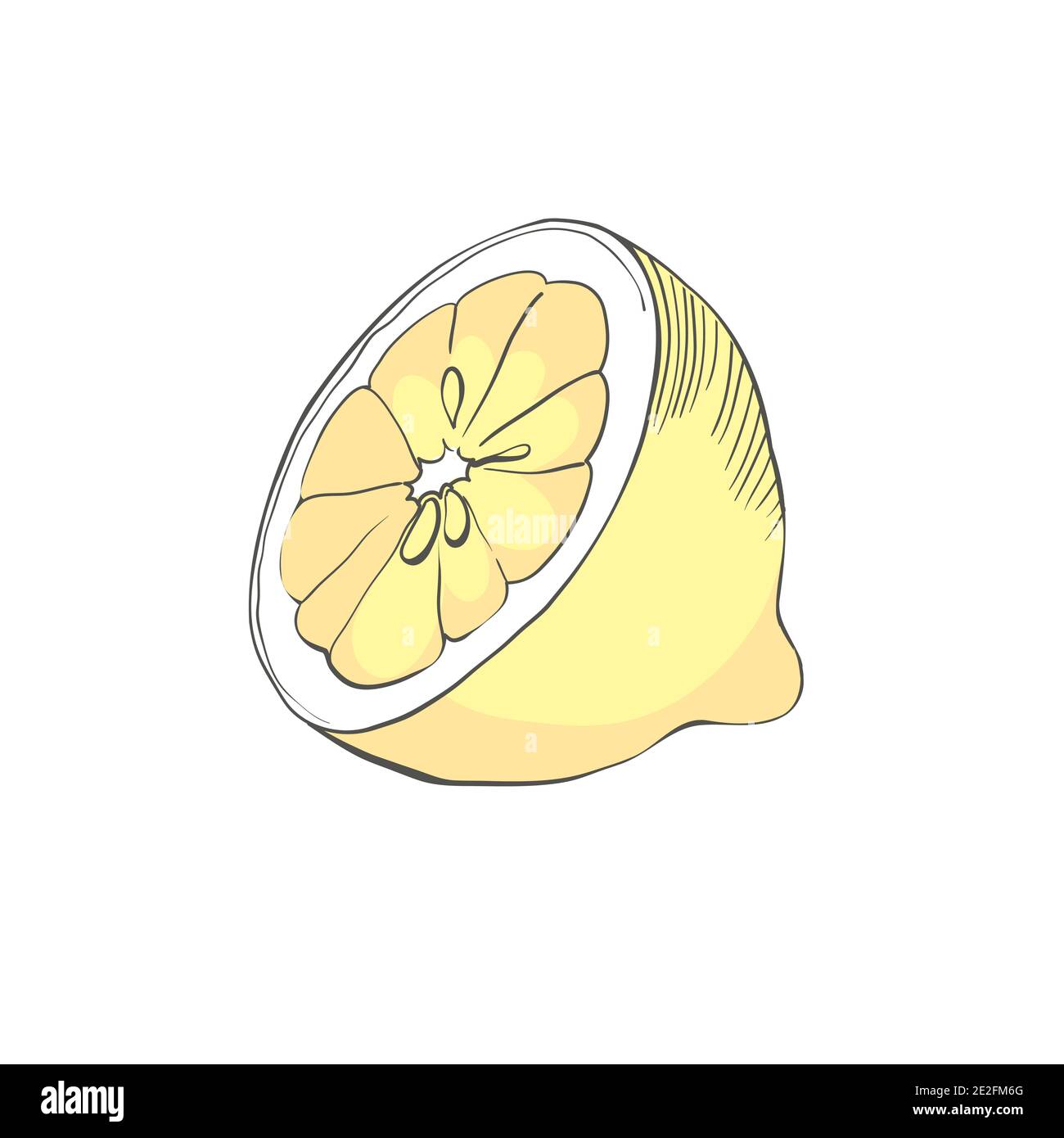 Hand drawn vector lemon whole and round slice, piece, on light background Stock Vector