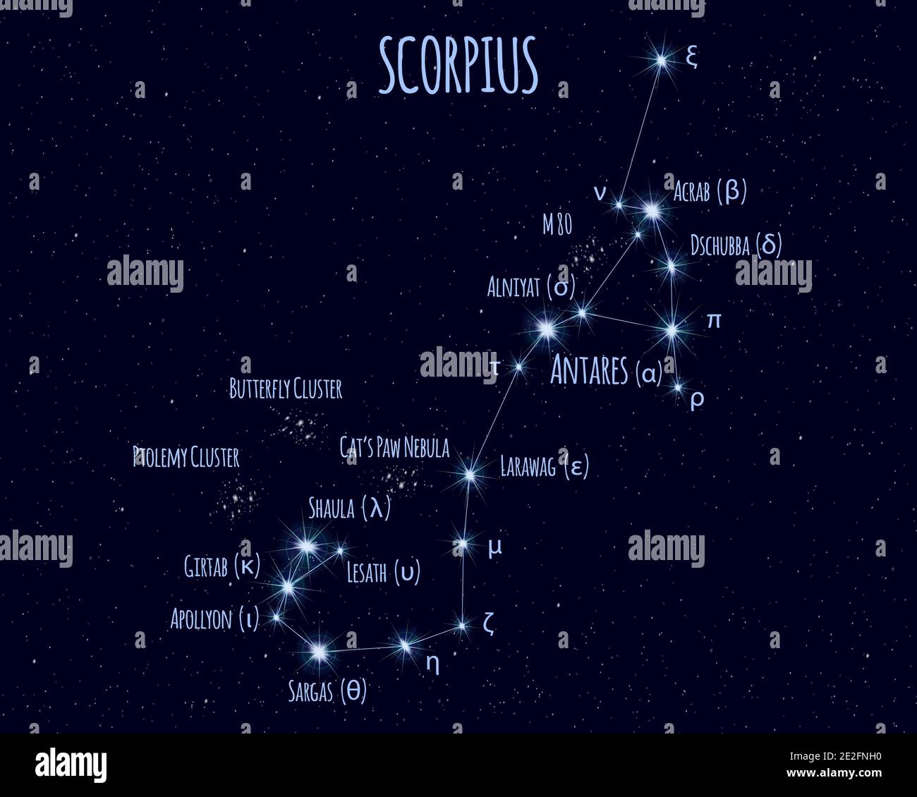 Scorpius (The Scorpion) constellation, vector illustration with the names of basic stars against the starry sky Stock Vector