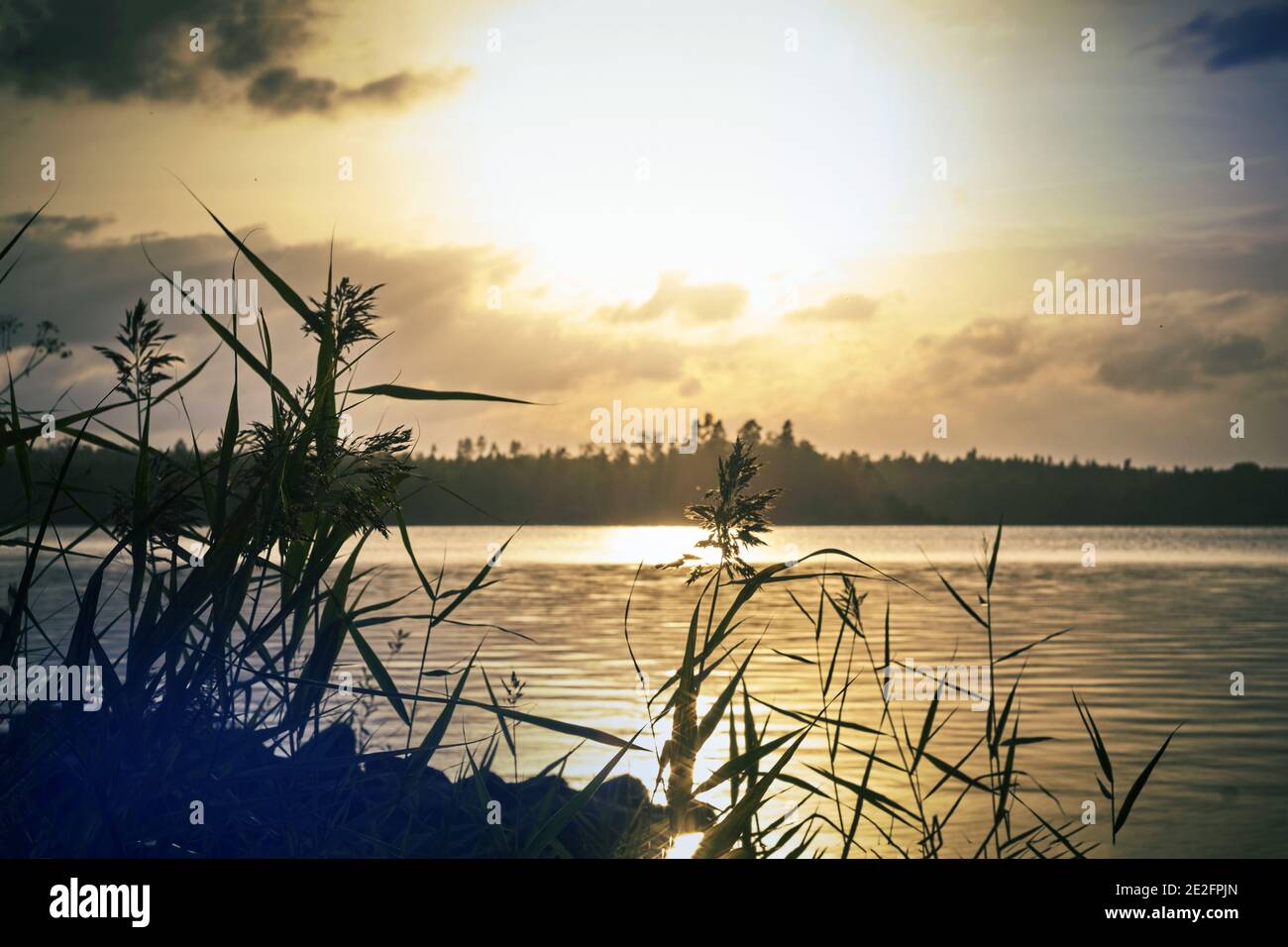 Beautiful shot of the river landscapesduring the sunset Stock Photo - Alamy