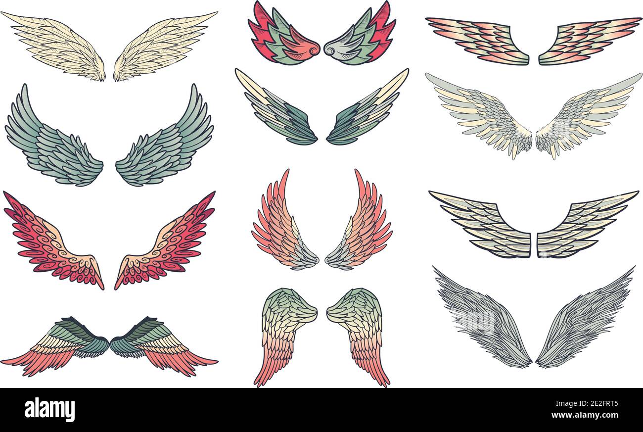 Angel or bird wings abstract sketch set isolated on white. vector ...