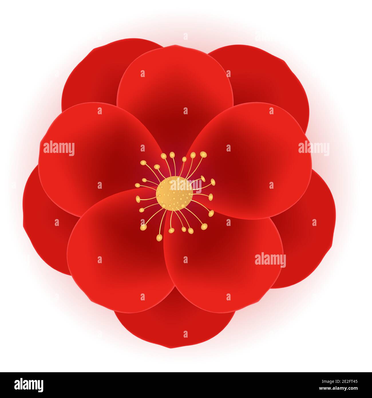 Realistic 3d Red Flower Icon. Vector Illustration Stock Vector Image ...
