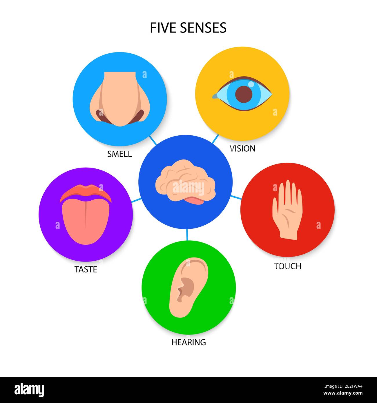 Five human senses banner in flat style. Poster with human perception elements - vision, touch, hearing, taste, smell. Vector illustration. Stock Vector