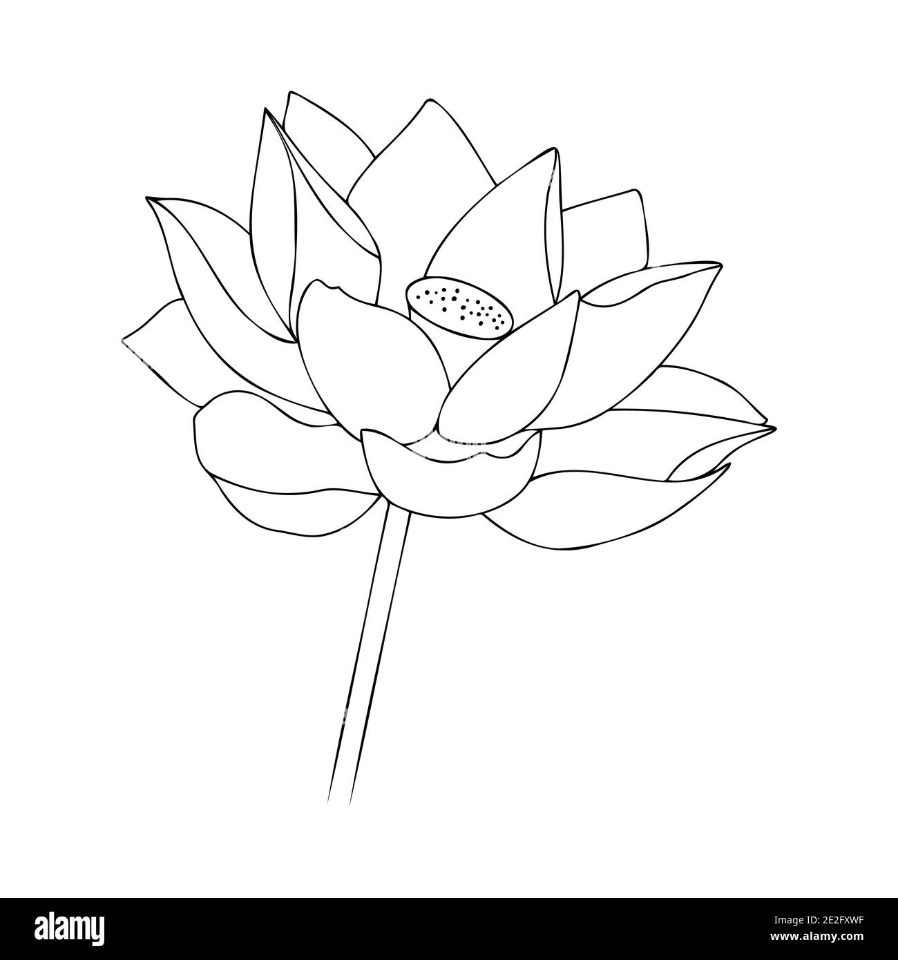 Water lily asian flower. Blossom flower illustration. Vector floral illustration. Black silhouette of lotus flowers icon on a white background. Vector illustration Stock Vector