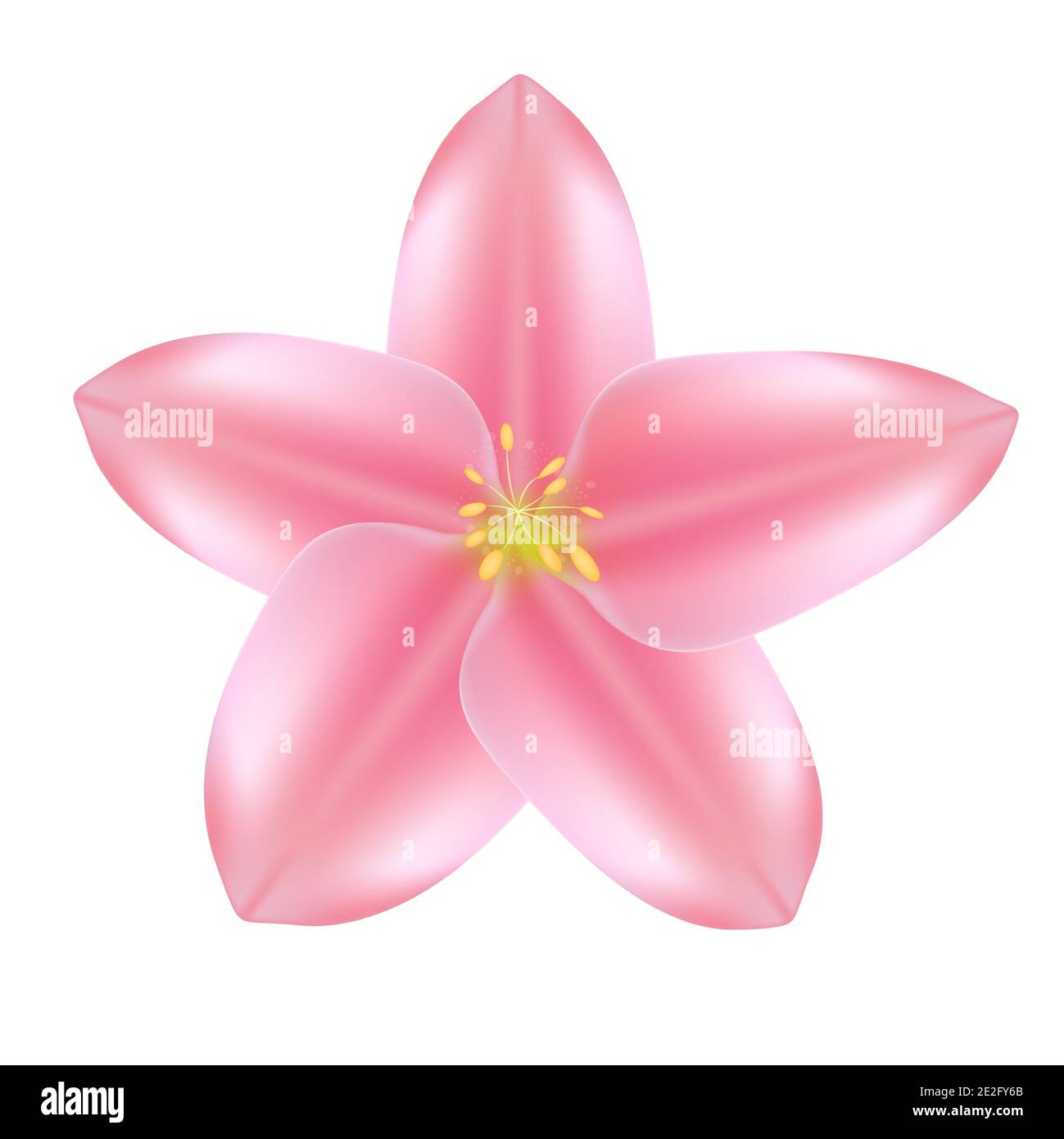 Realistic beautiful 3d sprind and summer pink flower icon. Vector Illustration. Stock Vector